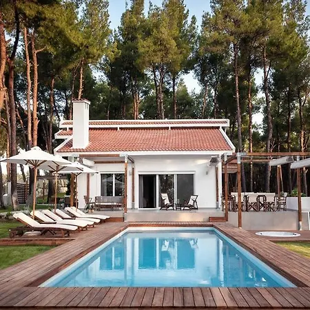 The White At Sani Sani (Chalkidiki)