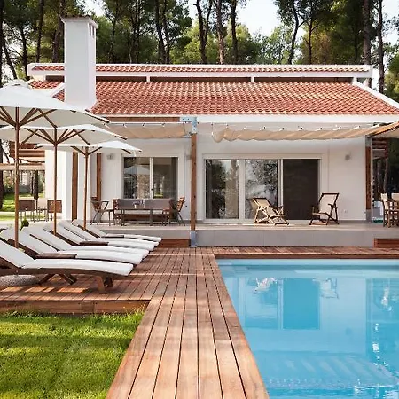 The White At Sani